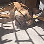 Guizmo participe au concours pour gagner de l'argent avec cette photo : dog, sleeping, sunlight, shadow_pattern, indoor, floor, muzzle, ear, pet, nap, relaxed, tan_coat, white_marking, portrait, living_room, furniture, shelf, paper_bag, cozy, snout