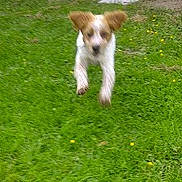 Iron a rejoint le concours — aidez-le/la à gagner de superbes lots !