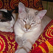 Kiwi a rejoint le concours — aidez-le/la à gagner de superbes lots !