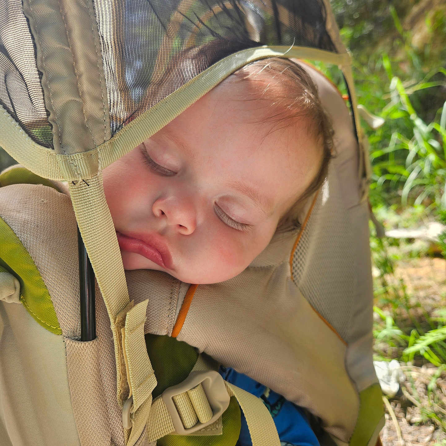 Theoden joined the competition — help win amazing prizes! adventure, baby, backpack, bag, bonnet, clothing, coat, face, hat, head, hiking, hood, leisureactivities, lifejacket, nature, person, photography, portrait, stroller, vest
