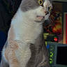 Abby is registered to the contest to win money with this photo:
