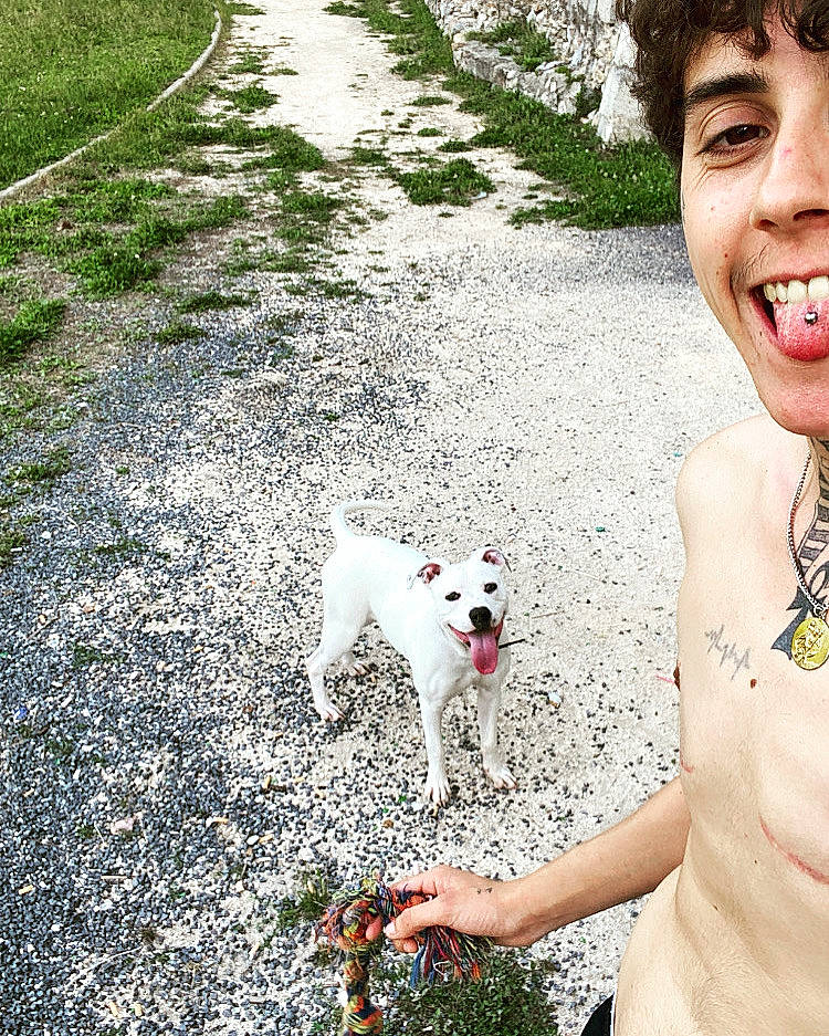 Tosca a rejoint le concours — aidez-le/la à gagner de superbes lots ! adventure, canidae, carnivore, chest, companion_dog, dog, dog_breed, fawn, grass, happy, leisure, mammal, people_in_nature, plant, recreation, selfie, smile, sporting_group, trunk, vertebrate