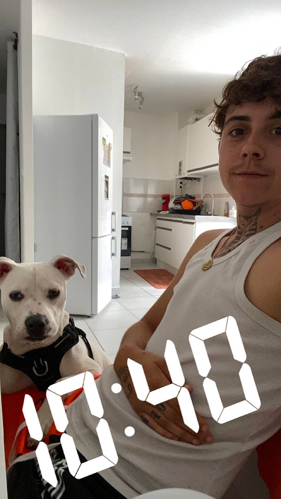 Tosca a rejoint le concours — aidez-le/la à gagner de superbes lots ! cabinetry, carnivore, chest, companion_dog, dog, dog_breed, dog_supply, drawer, eyewear, flooring, kitchen, room, sleeveless_shirt, sporting_group, sportswear, t_shirt, toy_dog, vest, white, working_animal