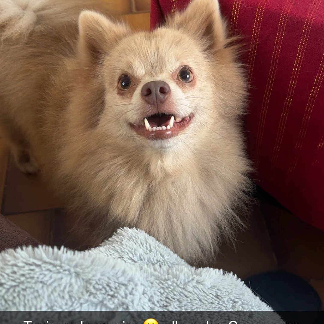 Tara