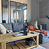 Aerie is registered to the contest to win money with this photo: cat, coffee_table, gray_sofa, pillows, pumpkin_pillow, orange_throw, mirrors, living_room, wooden_furniture, carpet, book, laptop, cozy, indoor, decor, natural_light, plant, wall_hanging, relaxed, pet
