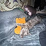 Louis is registered to the contest to win money with this photo: animal, bed, blanket, cat, comfort, cozy, cute, fur, gray_cat, indoor, moon, pet, pillow, plush_toy, relaxed, resting, sleeping, snake_pattern, soft_texture, tapestry