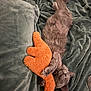 Louis joined the competition — help win amazing prizes! animal, blanket, cat, comfort, cozy, cute, fur, furry, gray_cat, green_blanket, indoor, orange_toy, paw, pet, plush_toy, relaxed, resting, sleeping, soft_texture, tail