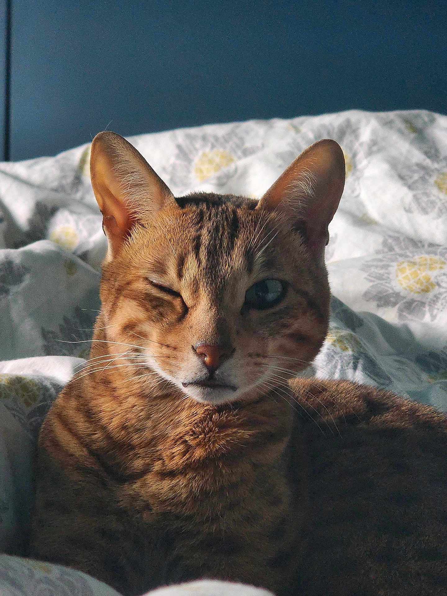 Mia
