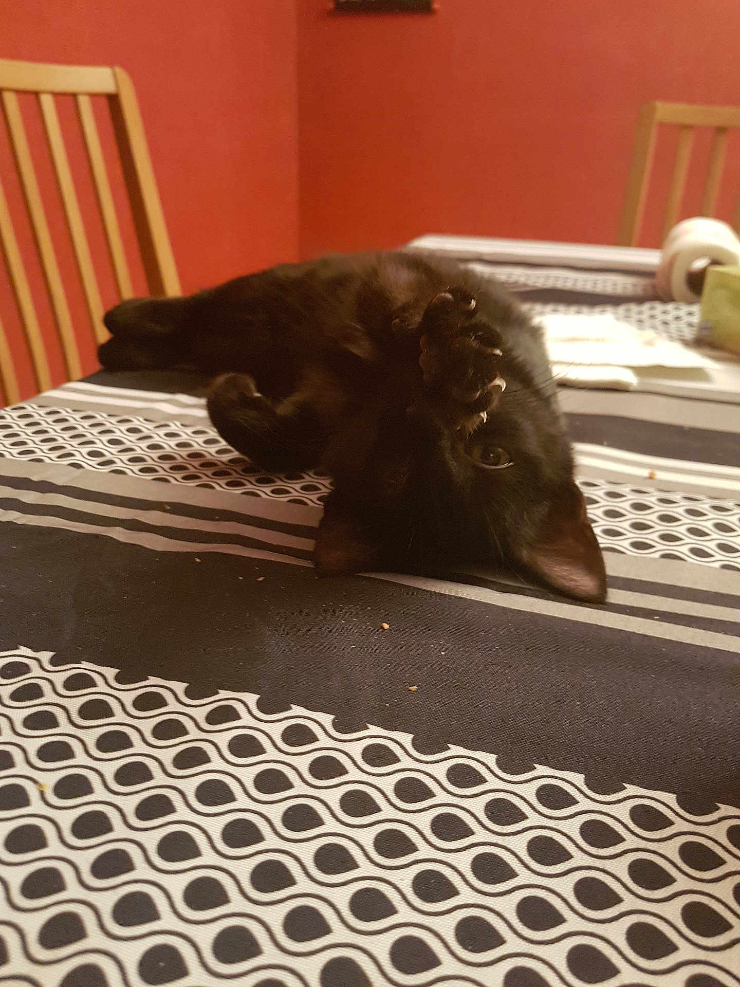 Iris