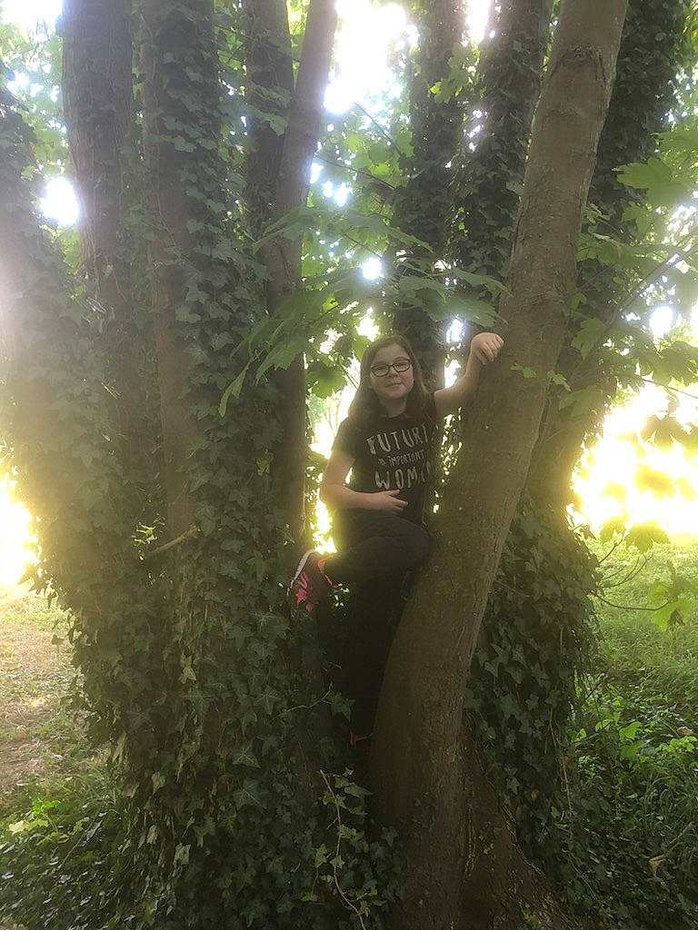 Stécy a rejoint le concours — aidez-le/la à gagner de superbes lots ! branch, deciduous, forest, grass, grove, joy, lens_flare, light, natural_landscape, people_in_nature, person, plant, shade, sky, smile, sunlight, temperate_broadleaf_and_mixed_forest, terrestrial_plant, tints_and_shades, tree