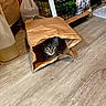 cat, tabby, paper_bag, floor, wooden_floor, indoor, pet, animal, curious, container, household_items, plastic_bottle, storage_basket, clutter, feline, whiskers, ears, eyes, hiding, shadow