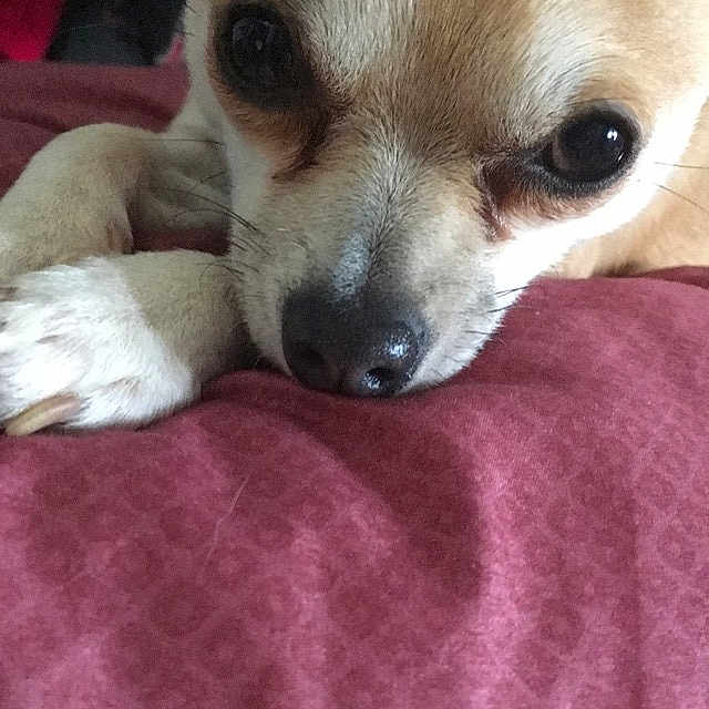 Narco