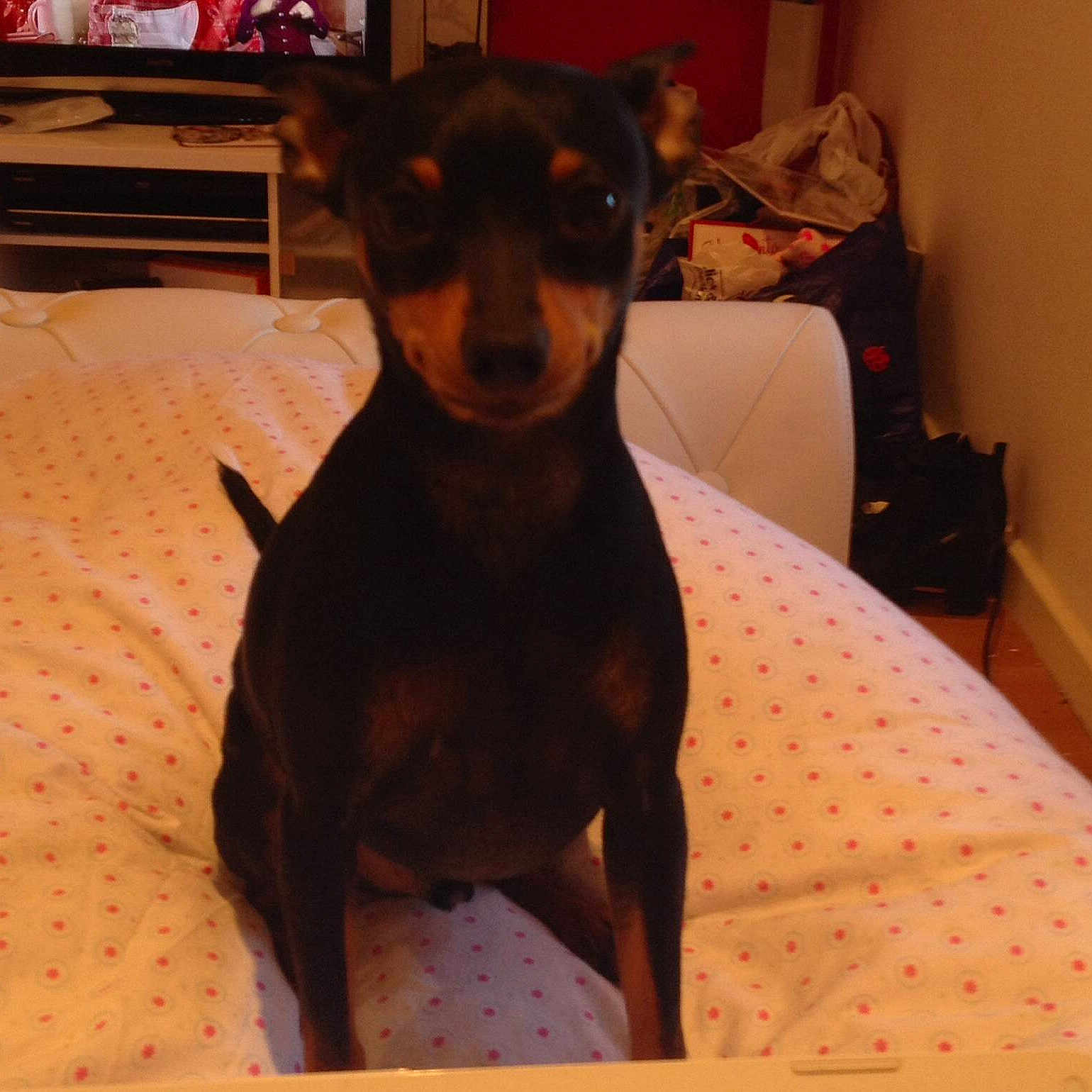 Burt