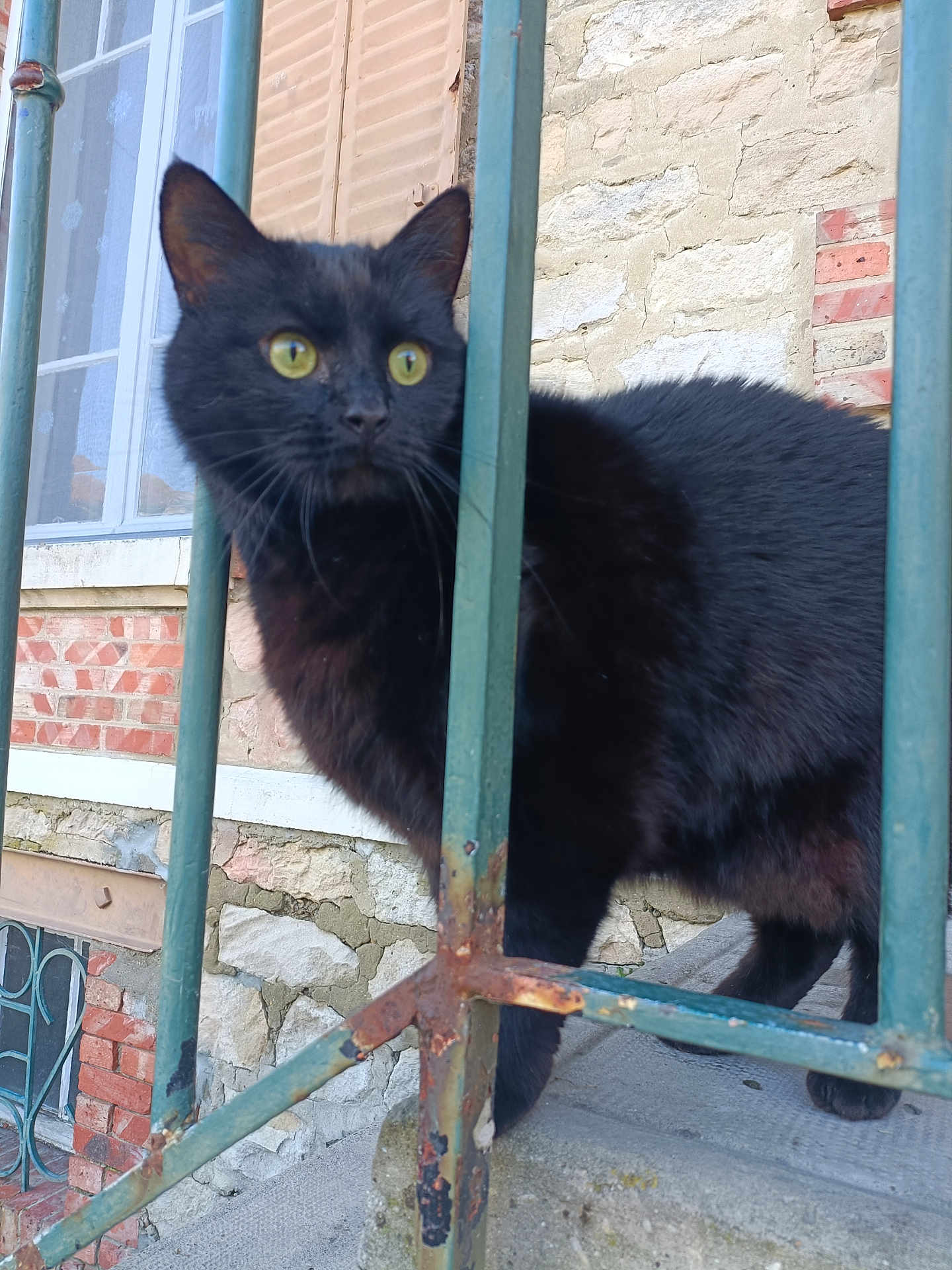 Sanka