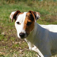 FAYA participe au concours pour gagner de l'argent avec cette photo :