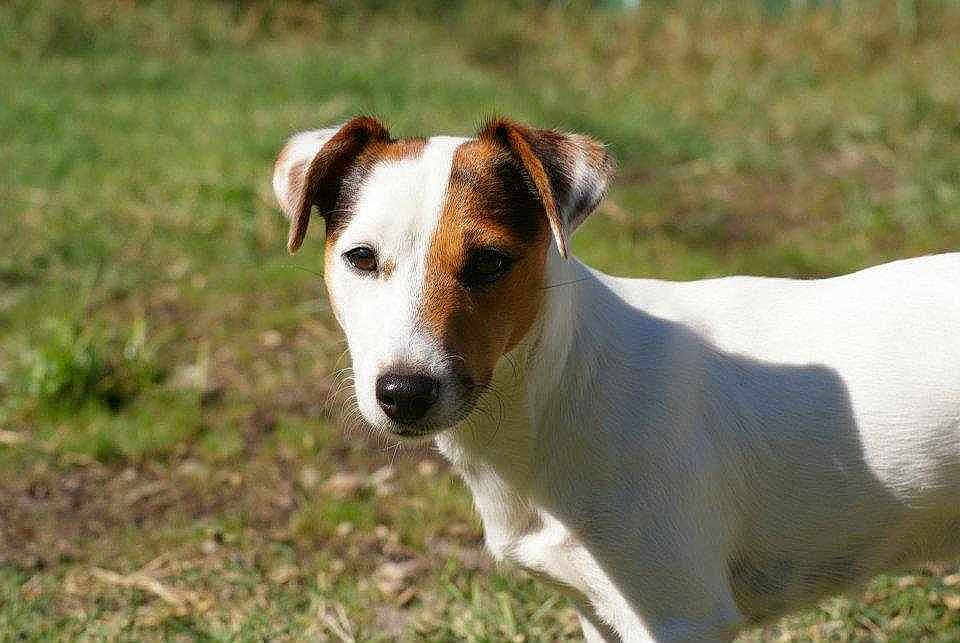 FAYA participe au concours pour gagner de l'argent avec cette photo :