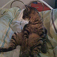 Maboule participe au concours pour gagner de l'argent avec cette photo :