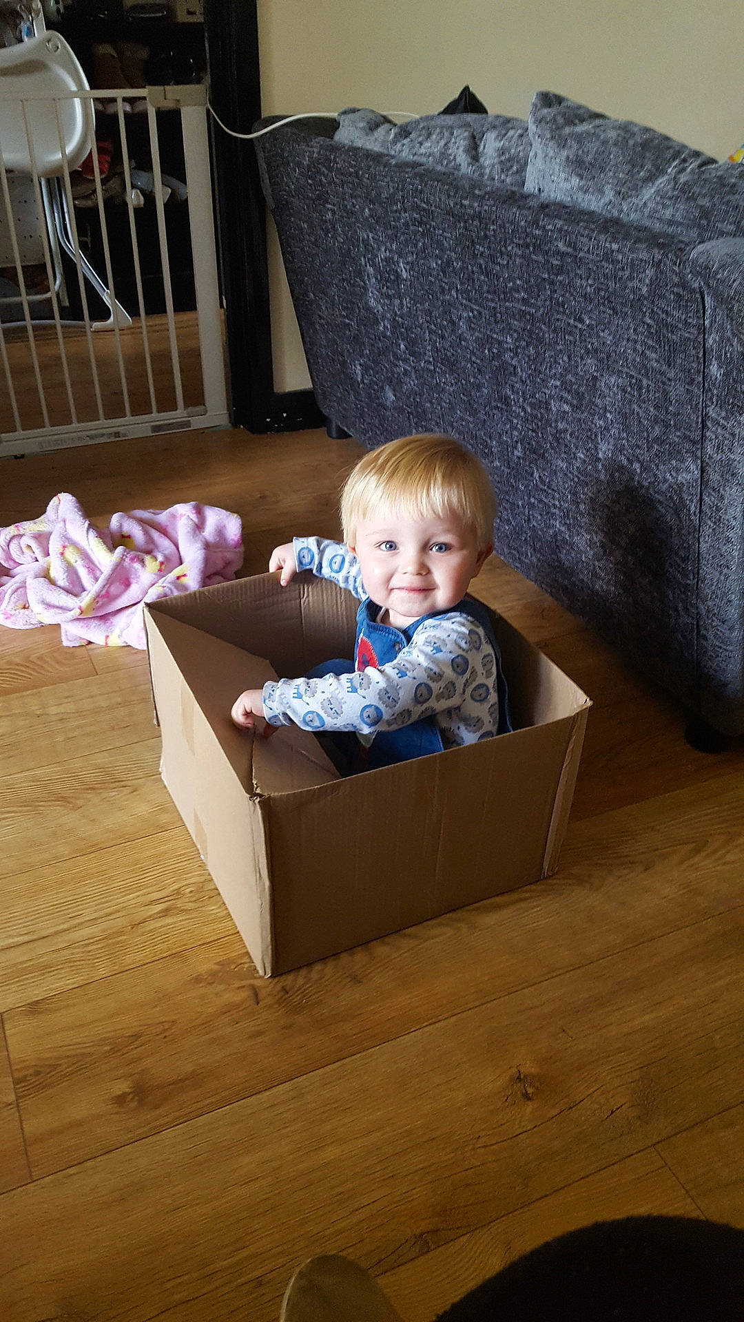 Matthew joined the competition — help win amazing prizes! bed, child, furniture, human_positions, image, joy, play, room, toddler