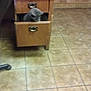 Alex joined the competition — help win amazing prizes! chest_of_drawers, drawer, fawn, floor, flooring, furniture, hardwood, laminate_flooring, plywood, room, table, tile, wood, wood_stain