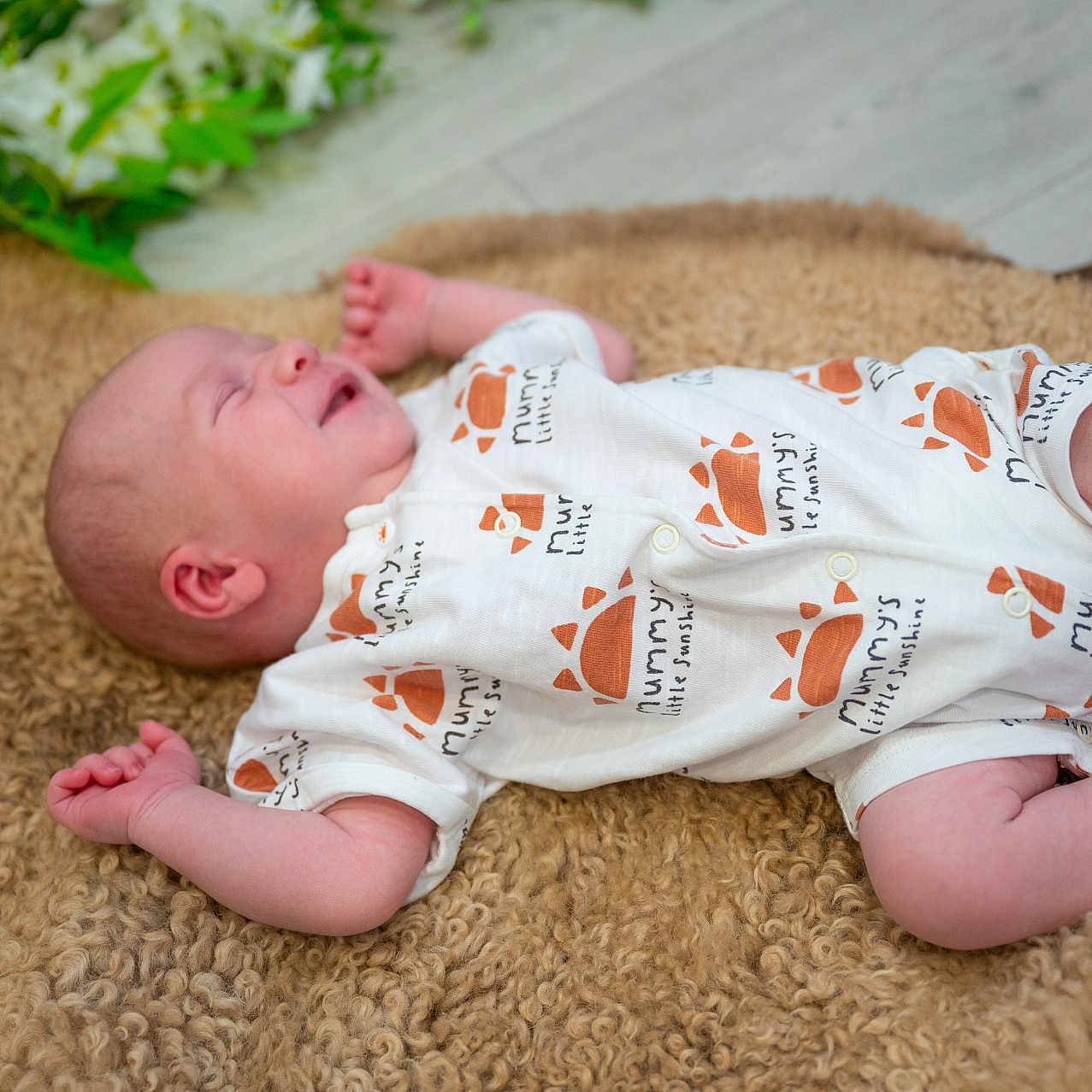 Vinnie is registered to the contest to win money with this photo: baby, blanket, brown, clothing, cute, feet, floor, greenery, hands, indoors, infant, newborn, onesie, peaceful, plant, sleeping, small, smiling, texture, wooden_floor