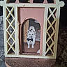 animal, bow_tie, carpet, cream_frame, cute, decor, decorative_frame, dog, frame, indoor, lattice_design, pet, pet_accessory, pink_frame, plastic_frame, portrait, small_dog, vintage, white_dog, worn_frame