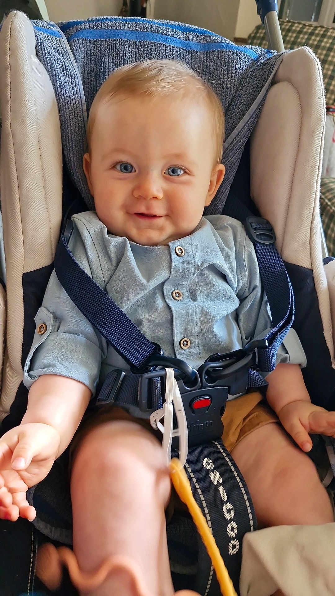 Elio