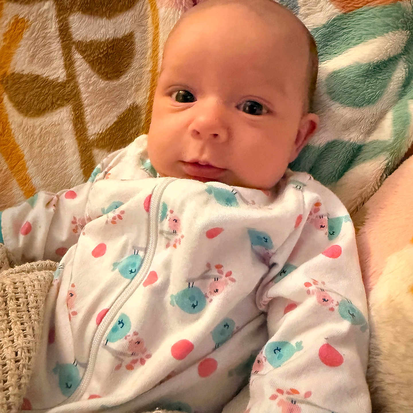 Jovi joined the competition — help win amazing prizes! baby, infant, onesie, blanket, cozy, cute, sleepwear, patterned, animal_print, soft_texture, child, portrait, indoors, resting, newborn, young_child, warm, comfort, face, expressive_eyes