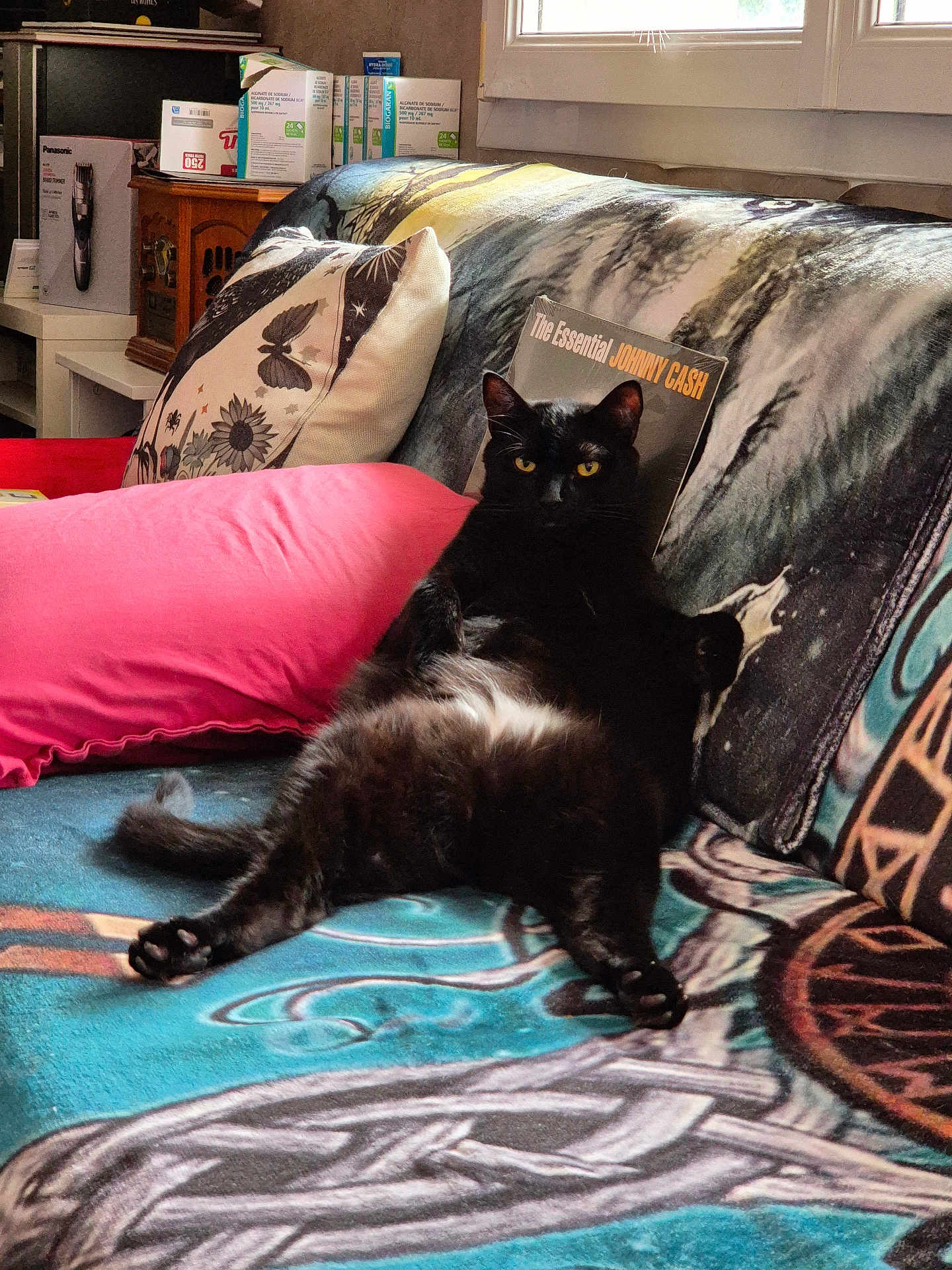 Floki a rejoint le concours — aidez-le/la à gagner de superbes lots ! cat, black_cat, couch, pillow, album_cover, indoor, relaxed, pet, feline, window, sunlight, home, furniture, yellow_eyes, animal, resting, cozy, colorful, blanket, living_room