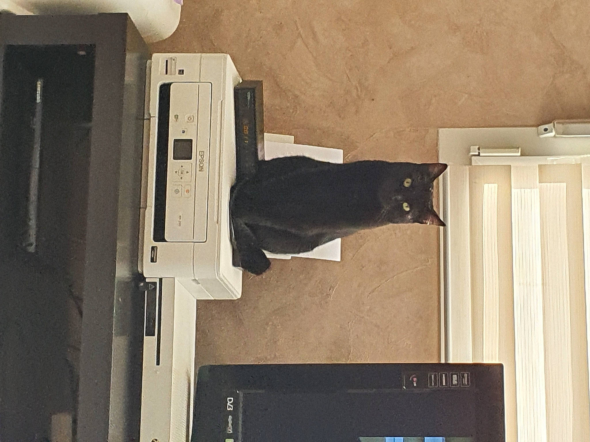 Shetane a rejoint le concours — aidez-le/la à gagner de superbes lots ! room, wall