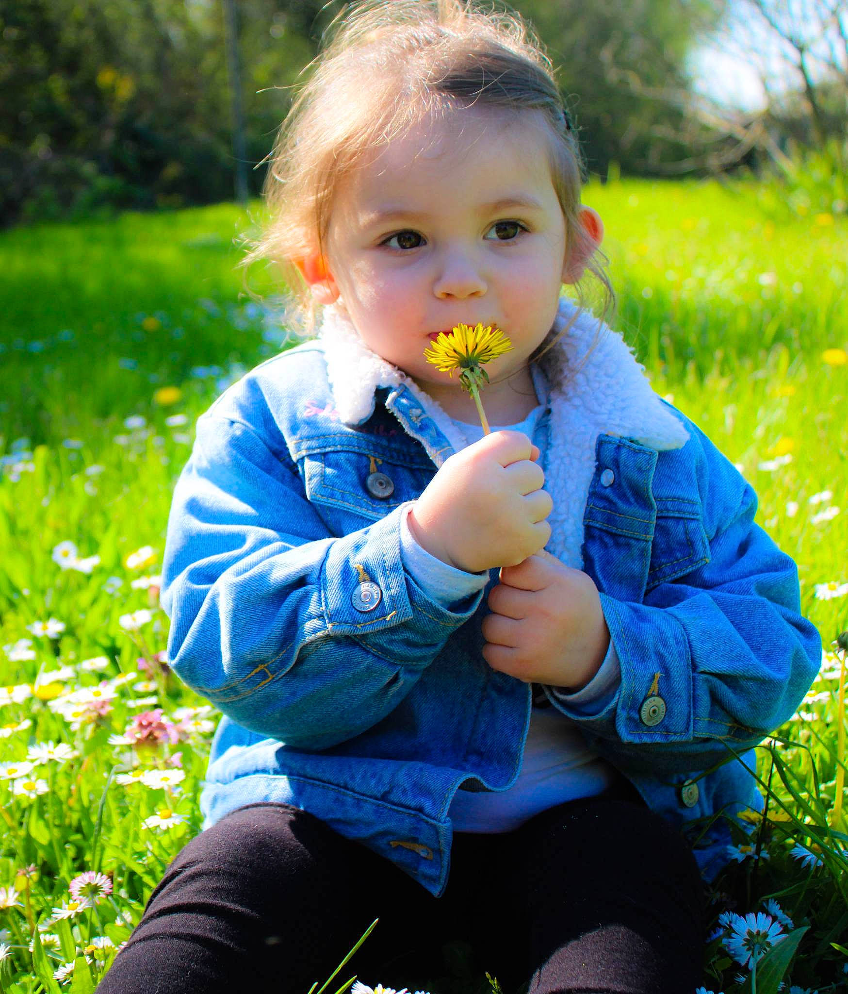 Thalia a rejoint le concours — aidez-le/la à gagner de superbes lots ! baby_toddler_clothing, botany, child, electric_blue, face, fun, garden, grass, grass_family, grassland, happy, head, iris, leisure, meadow, nature, people_in_nature, person, plant, sitting