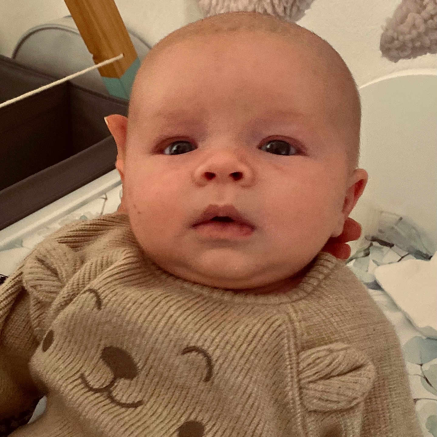 Théo a rejoint le concours — aidez-le/la à gagner de superbes lots ! baby, clothing, coat, face, furniture, happy, head, hoodie, jacket, knitwear, newborn, pants, person, photography, portrait, selfie, sleeve, smile, sweater, sweatshirt