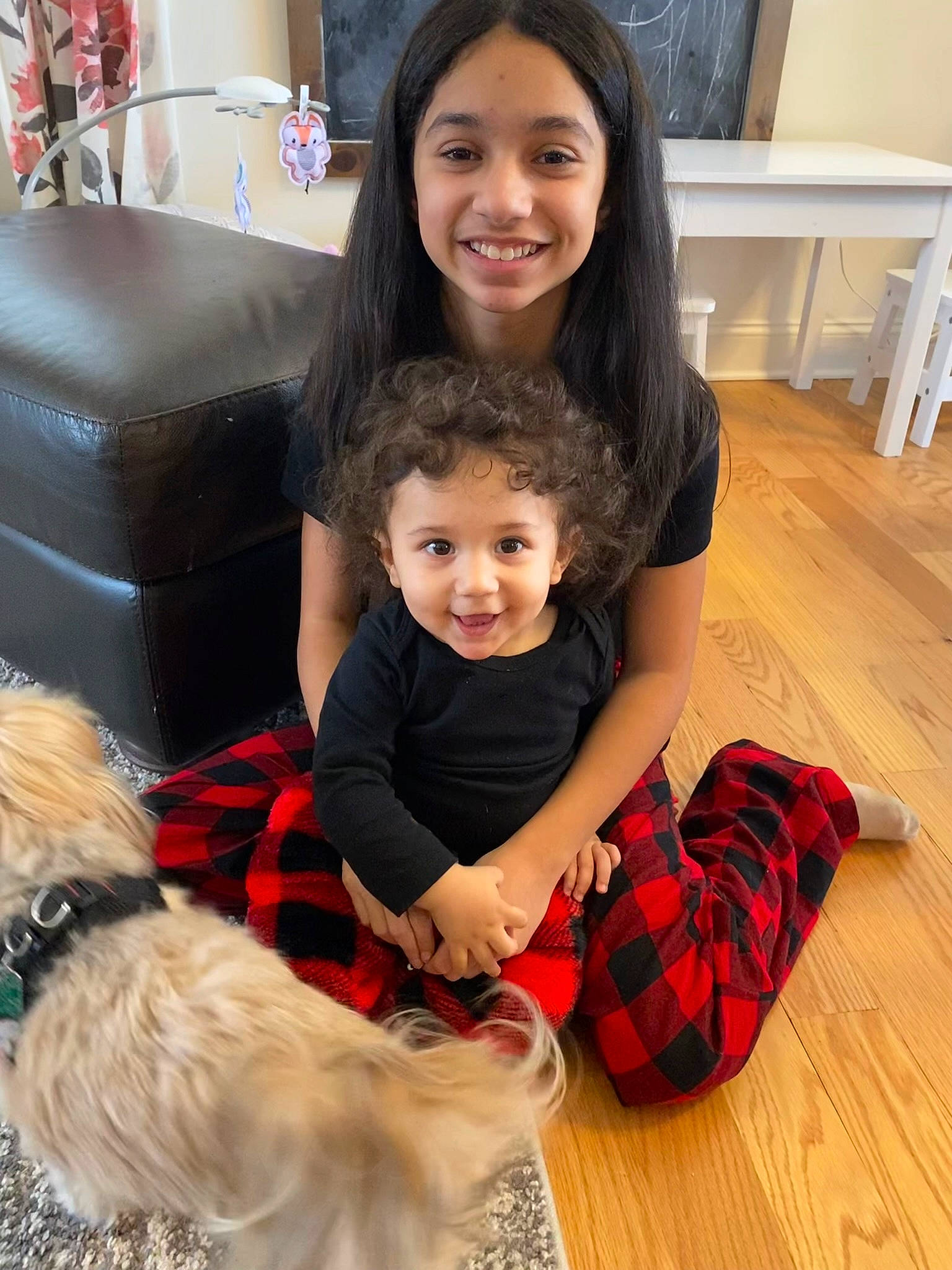 Ariah is registered to the contest to win money with this photo: carnivore, chair, child, christmas, christmas_eve, companion_dog, dog, dog_breed, event, fawn, flooring, fun, happy, holiday, joy, lap, person, sitting, small_terrier, smile