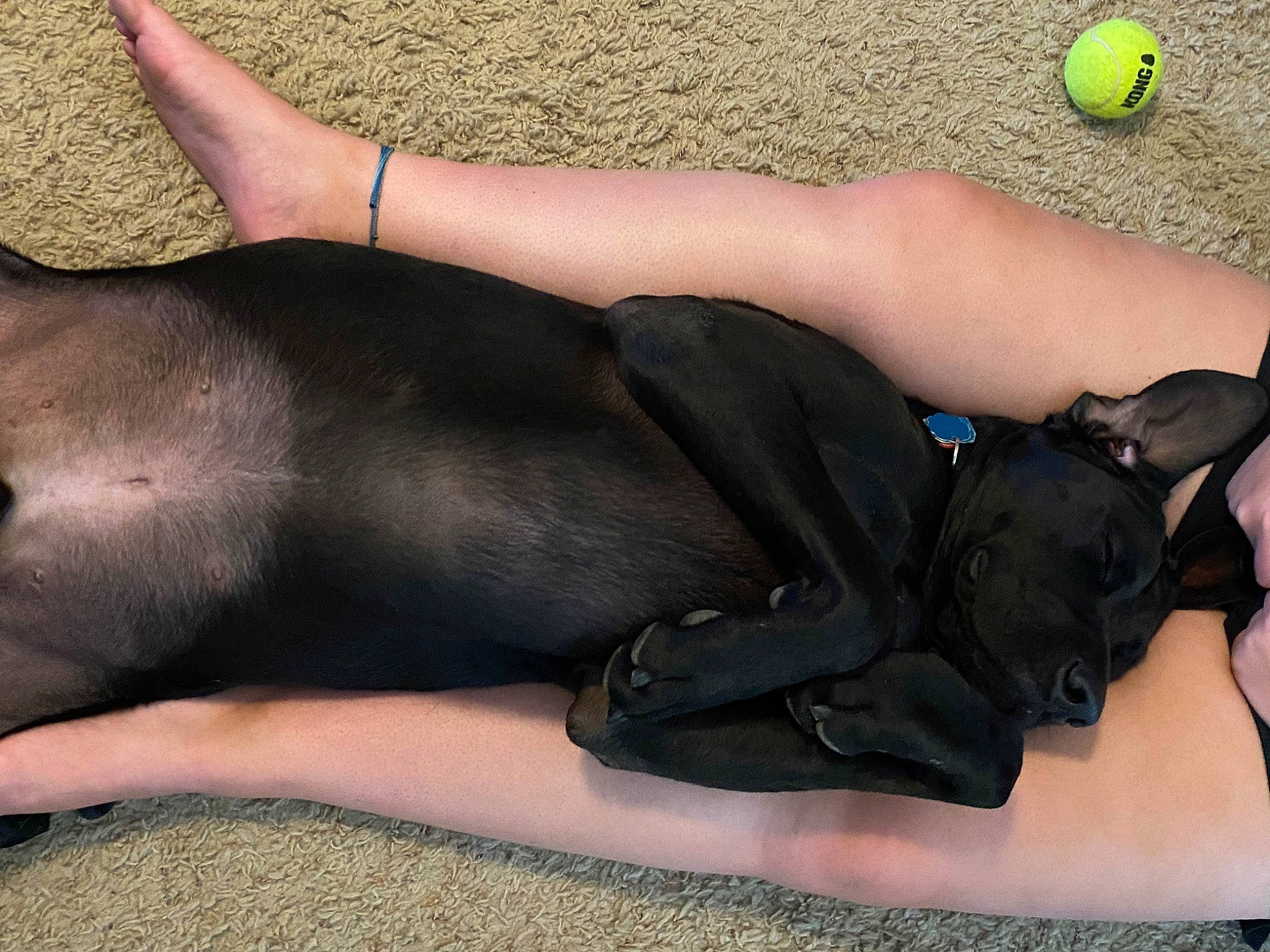 Loki is registered to the contest to win money with this photo: abdomen, ball, barefoot, calf, chest, comfort, elbow, foot, human_leg, knee, leg, personal_protective_equipment, sitting, sports_equipment, sportswear, sunglasses, swimwear, thigh, trunk, waist