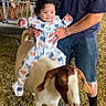 Javier is registered to the contest to win money with this photo: adult, animal, baby, child, curious, dinosaur_print, fair, family_photo, farm, funny, goat, grass, held, infant, livestock, onesie, outdoor, portrait, sitting, smiling