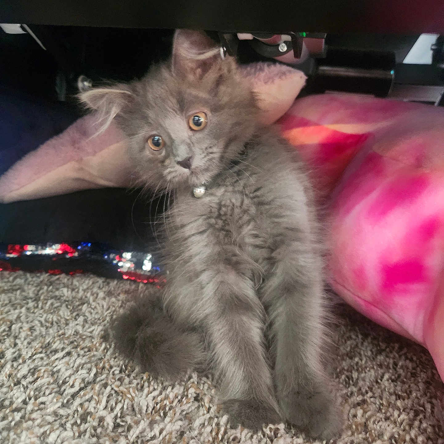 Princess