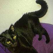 Nala participe au concours pour gagner de l'argent avec cette photo :