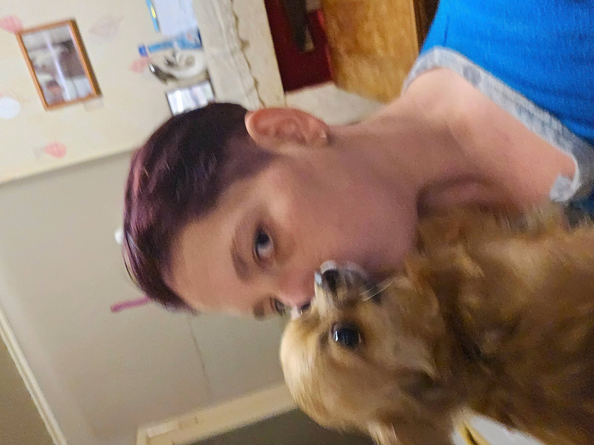 Belle participe au concours pour gagner de l'argent avec cette photo : carnivore, companion_dog, dog, dog_breed, ear, eyelash, fur, happy, picture_frame, pomeranian, puppy_love, selfie, small_terrier, small_to_medium_sized_cats, smile, sporting_group, terrier, toy_dog, whiskers, working_animal