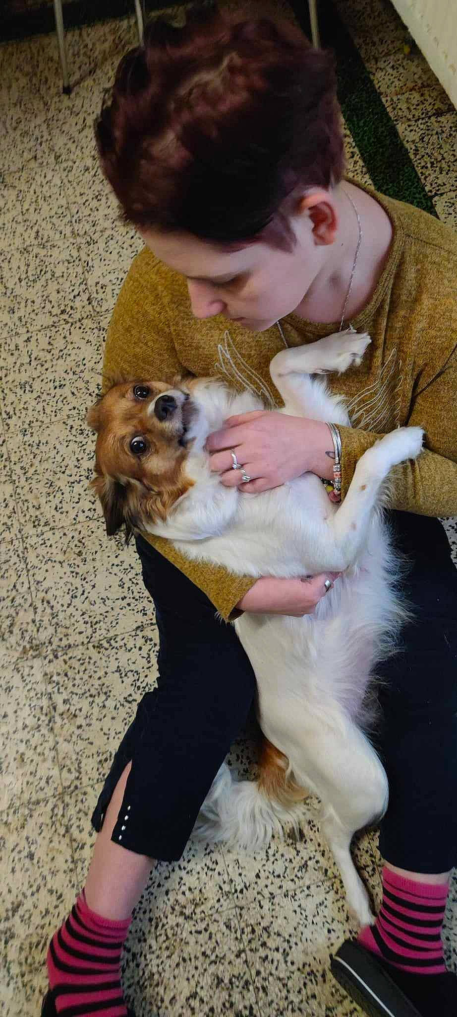 Choupette a rejoint le concours — aidez-le/la à gagner de superbes lots ! canidae, carnivore, companion_dog, dog, dog_breed, fawn, fur, happy, non_sporting_group, paw, pomeranian, puppy, puppy_love, sporting_group, tail, tibetan_spaniel, toy_dog