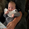 baby, infant, adult_arm, bib, striped_clothing, serious_expression, indoor, person, holding, reading, furniture, couch, home, portrait, closeup, hand, skin, face, young_child, casual
