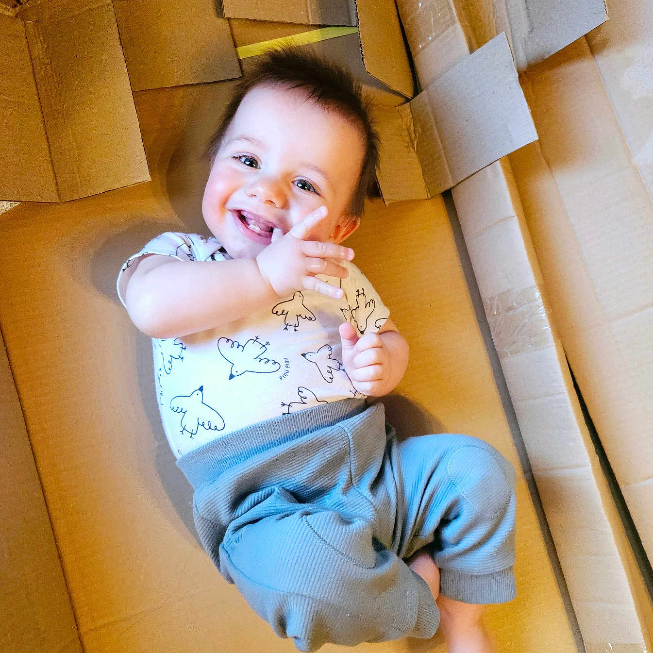 Marceau a rejoint le concours — aidez-le/la à gagner de superbes lots ! baby, bodypart, box, clothing, couch, cushion, face, finger, furniture, hand, happy, head, homedecor, indoors, laughing, pants, person, photography, portrait, t_shirt