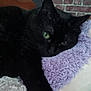 black_cat, green_eyes, cat, fluffy_blanket, purple_blanket, white_blanket, indoor, resting, cozy, furniture, wooden, brick_wall, pet, animal, close_up, soft_texture, relaxed, whiskers, cute, sleepy