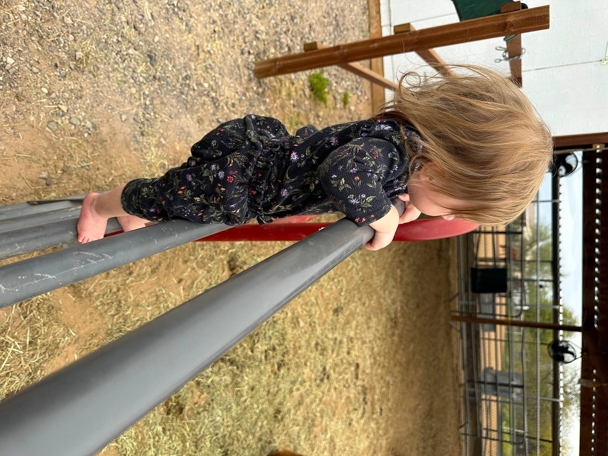 Brinleigh joined the competition — help win amazing prizes! composite_material, elbow, fun, handrail, leisure, metal, pattern, person, thigh, tints_and_shades, wood
