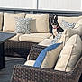 Penny joined the competition — help win amazing prizes! dog, outdoor, sofa, wicker_furniture, cushion, pillow, deck, fence, tree, sunlight, pet, collar, black_and_white, small_dog, backyard, relaxation, daytime, patterned_pillow, seating, nature