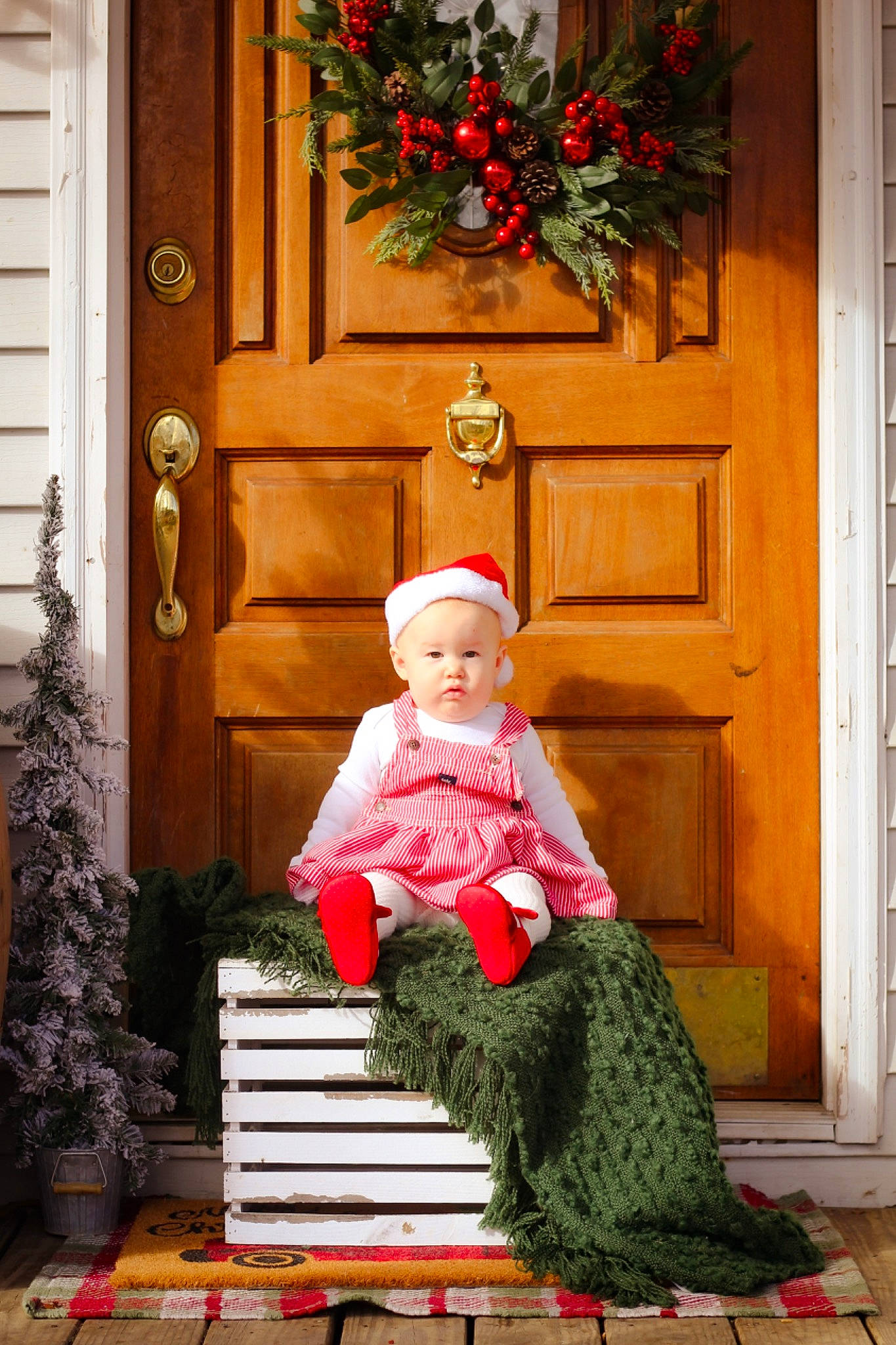 Colt joined the competition — help win amazing prizes! baby, baby_toddler_clothing, child, christmas_decoration, door, event, flower, flower_arranging, grass, green, holiday, magenta, ornament, people_in_nature, person, plant, room, sitting, toddler, tree