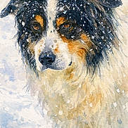 Jonas a rejoint le concours — aidez-le/la à gagner de superbes lots ! dog, watercolor, painting, portrait, snow, fur, winter, animal, art, canine, snowflakes, outdoor, nature, expression, face, closeup, colorful, soft, brushstrokes, texture