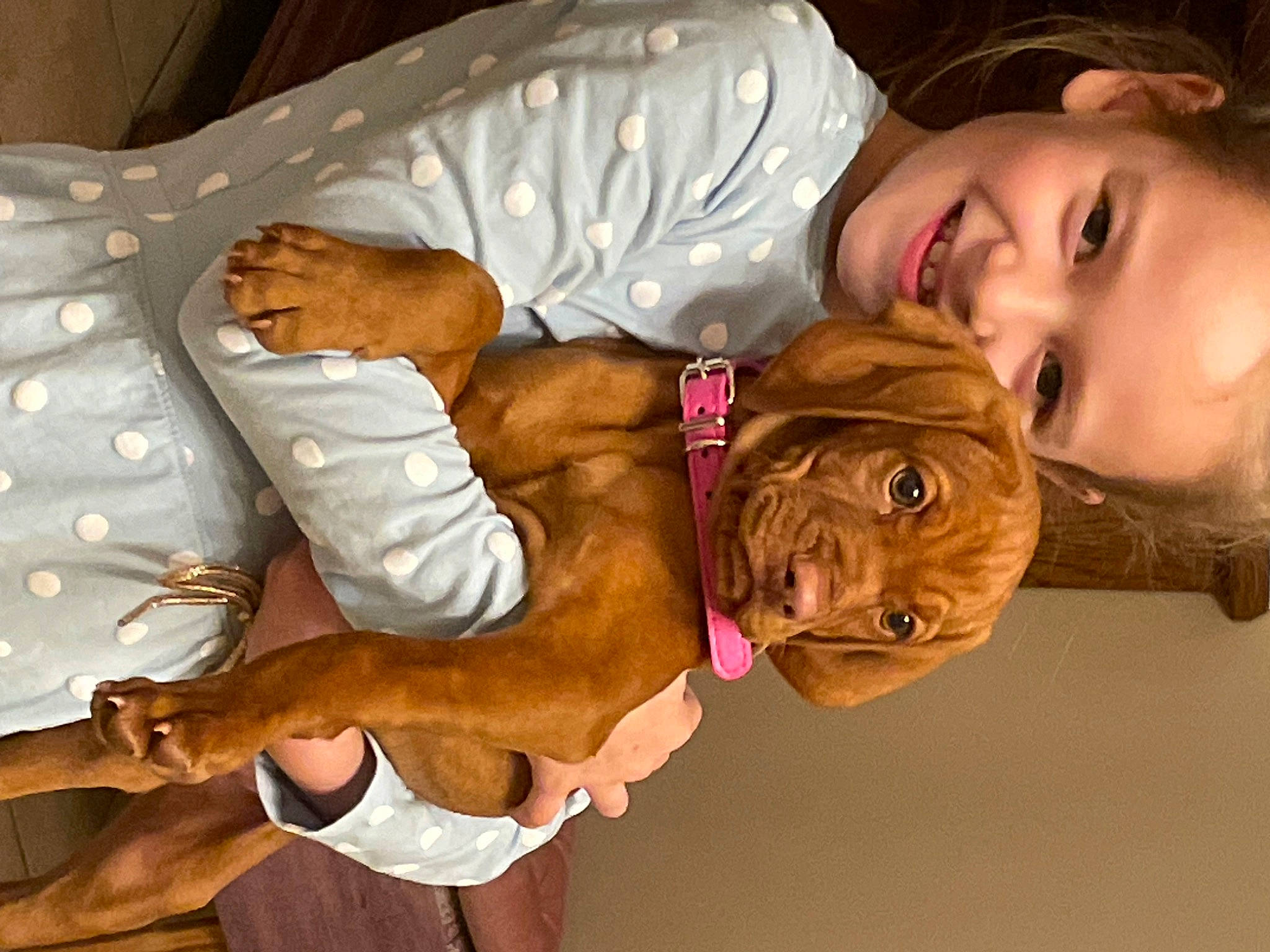 Tara participe au concours pour gagner de l'argent avec cette photo : abdomen, barechested, belt, bracelet, chest, child, elbow, fun, happy, human_body, jewellery, mouth, navel, smile, tradition, trunk, wrinkle