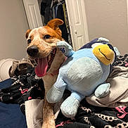 Venga joined the competition — help win amazing prizes! animal, bed, blanket, comfort, cozy, cute, dog, ears, fur, happy, home, indoor, penguin_toy, pet, plush_toy, resting, smiling, tongue, tongue_out, toy
