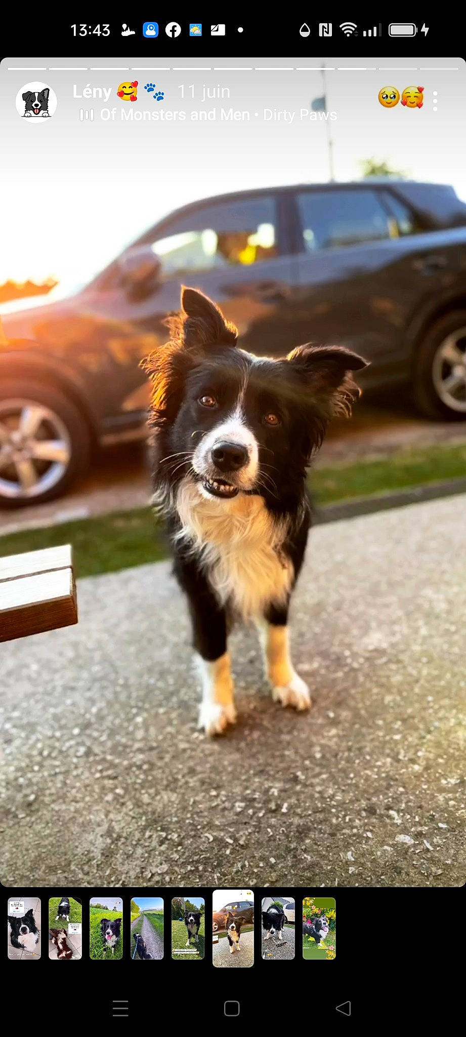 Lény a rejoint le concours — aidez-le/la à gagner de superbes lots ! asphalt, automotive_lighting, automotive_tire, bernese_mountain_dog, car, carnivore, companion_dog, dog, dog_breed, door, hubcap, road, road_surface, snout, sporting_group, tints_and_shades, tire, vehicle, wheel, whiskers