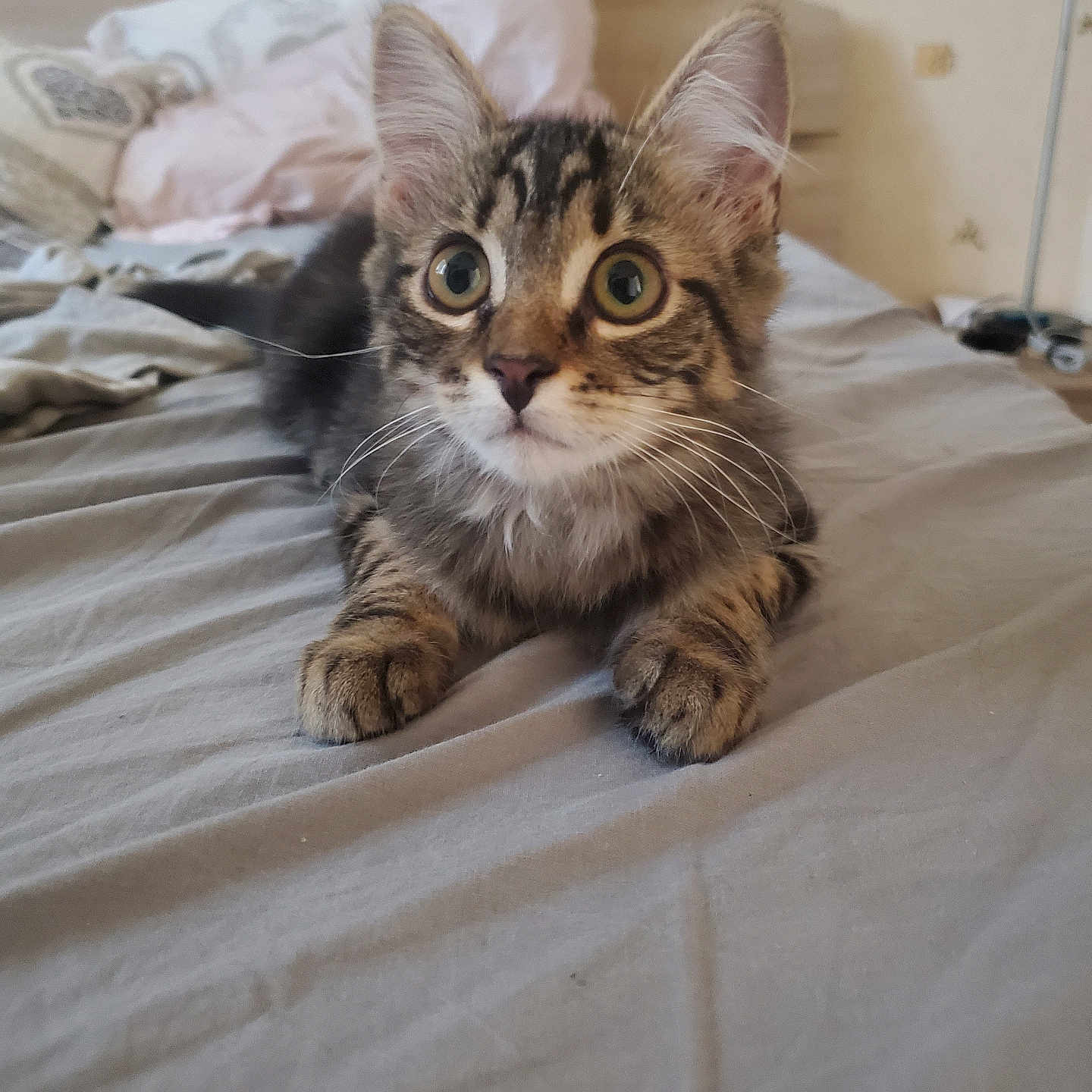 Mia