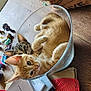 kitten, cat, orange_cat, tabby_cat, bowl, wooden_floor, book, cardboard, paper_bag, toy_figures, curious, cute, indoor, pet, feline, playful, domestic_animal, relaxed, close_up, household_items